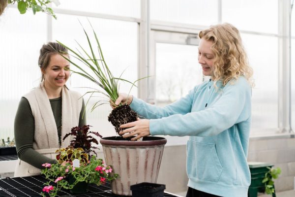 North-Valley-06997 North-Valley-06997