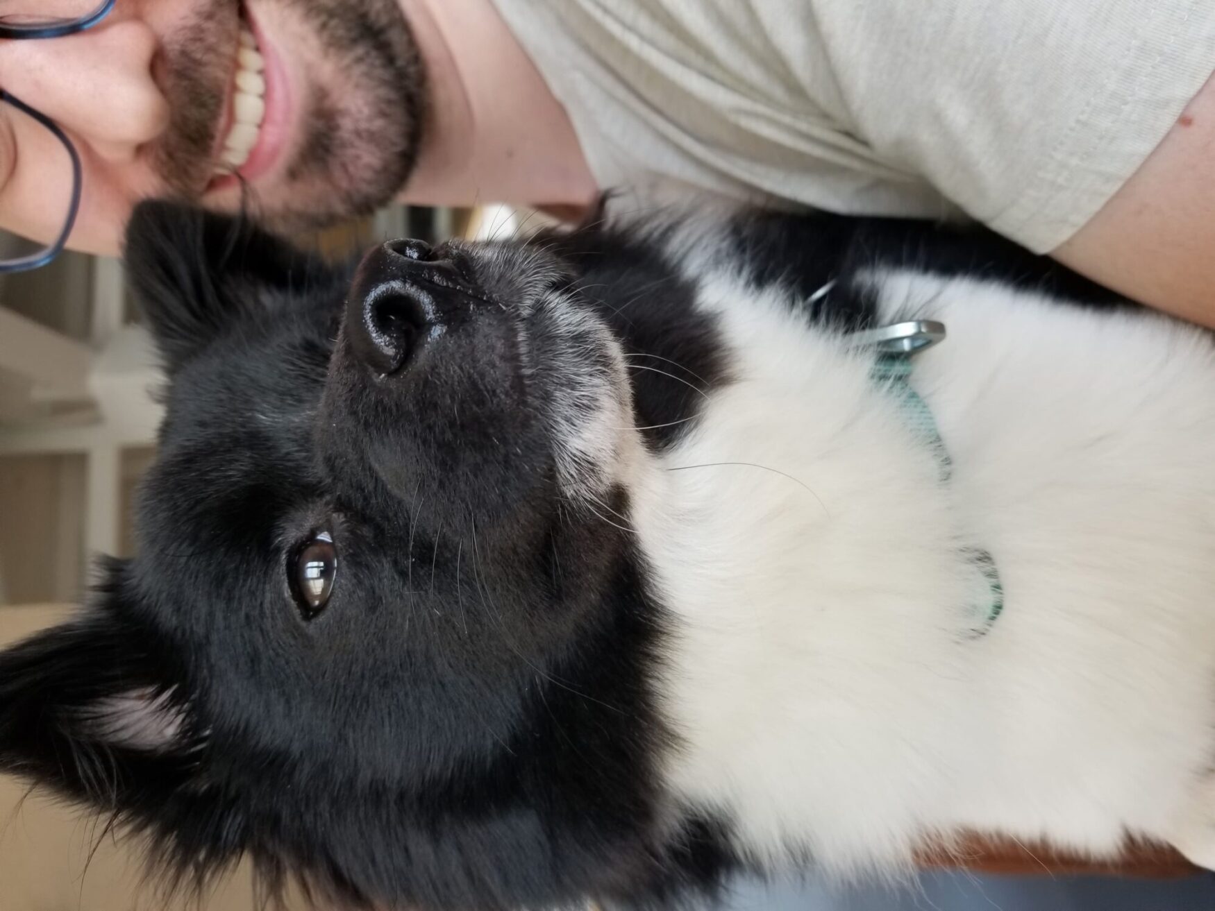 A close up of Dipper. We can see Lucas smile as he holds Dipper.