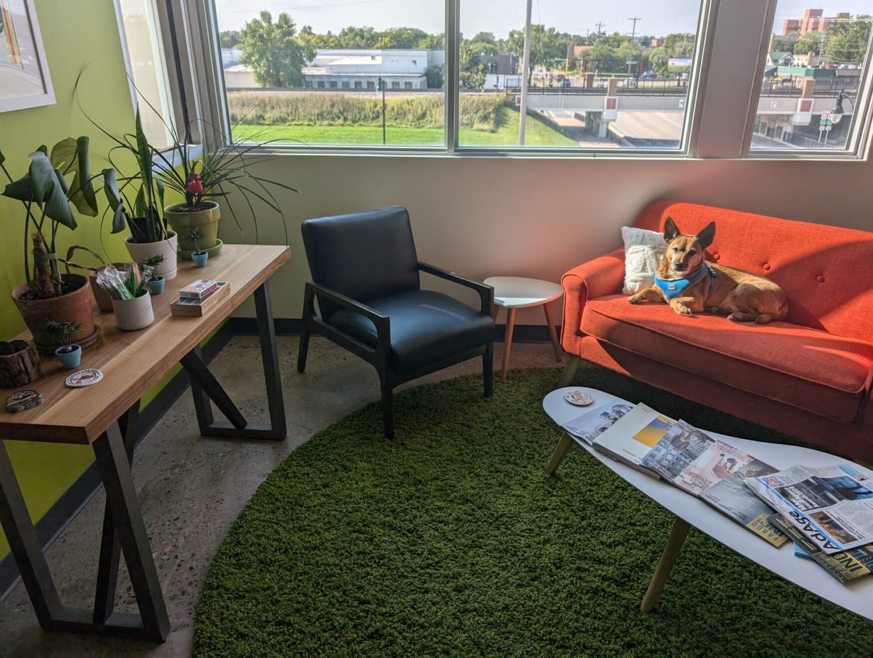 Kevin basks in the sun at the Tellwell office