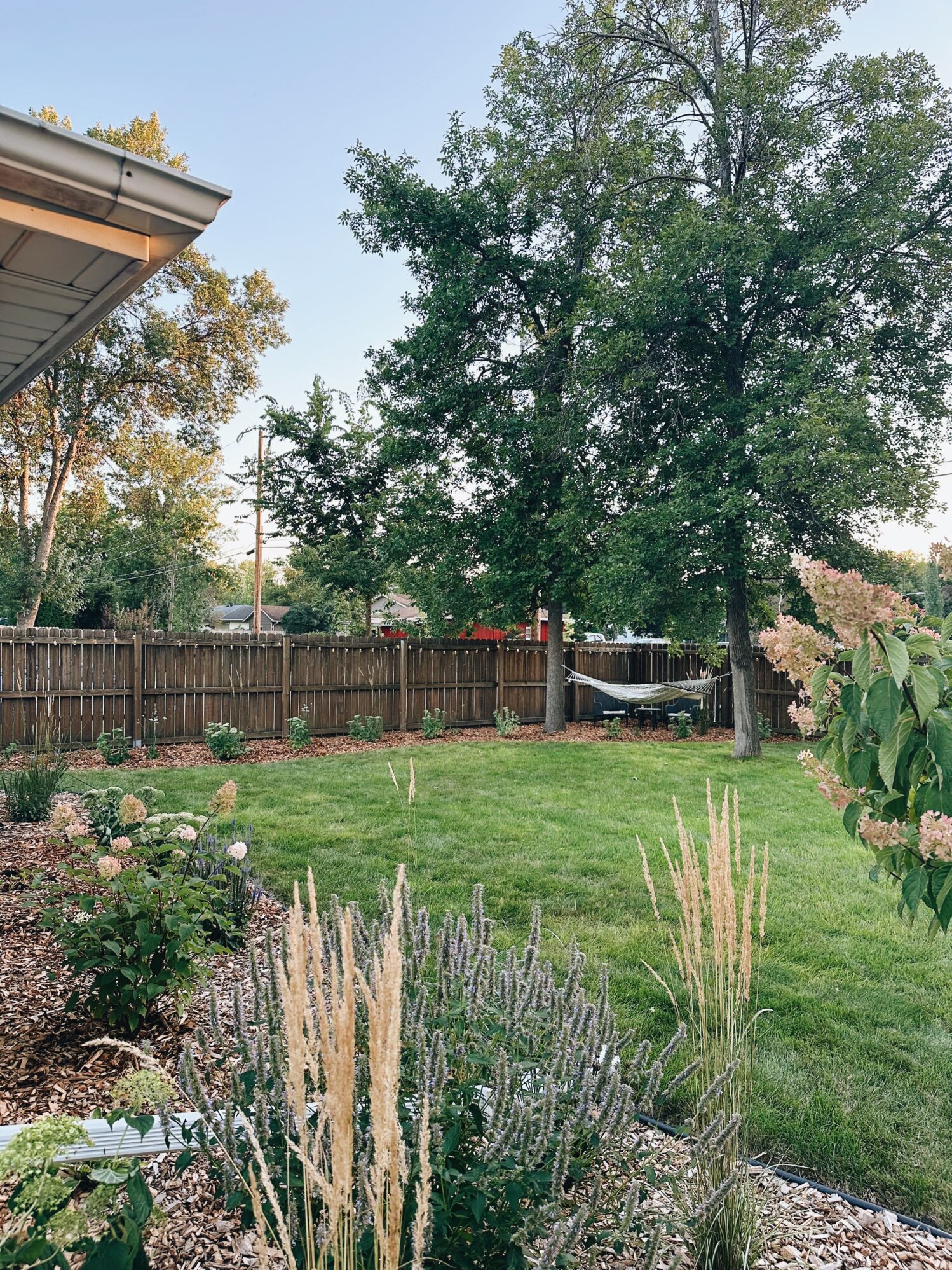 A backyard scene featuring a well-maintained lawn bordered by various plants and flowers, including tall ornamental grasses and hydrangeas. A wooden fence surrounds the yard, and a hammock is strung between two large trees, offering a peaceful spot to relax. The sky is clear and blue, with sunlight gently illuminating the scene.