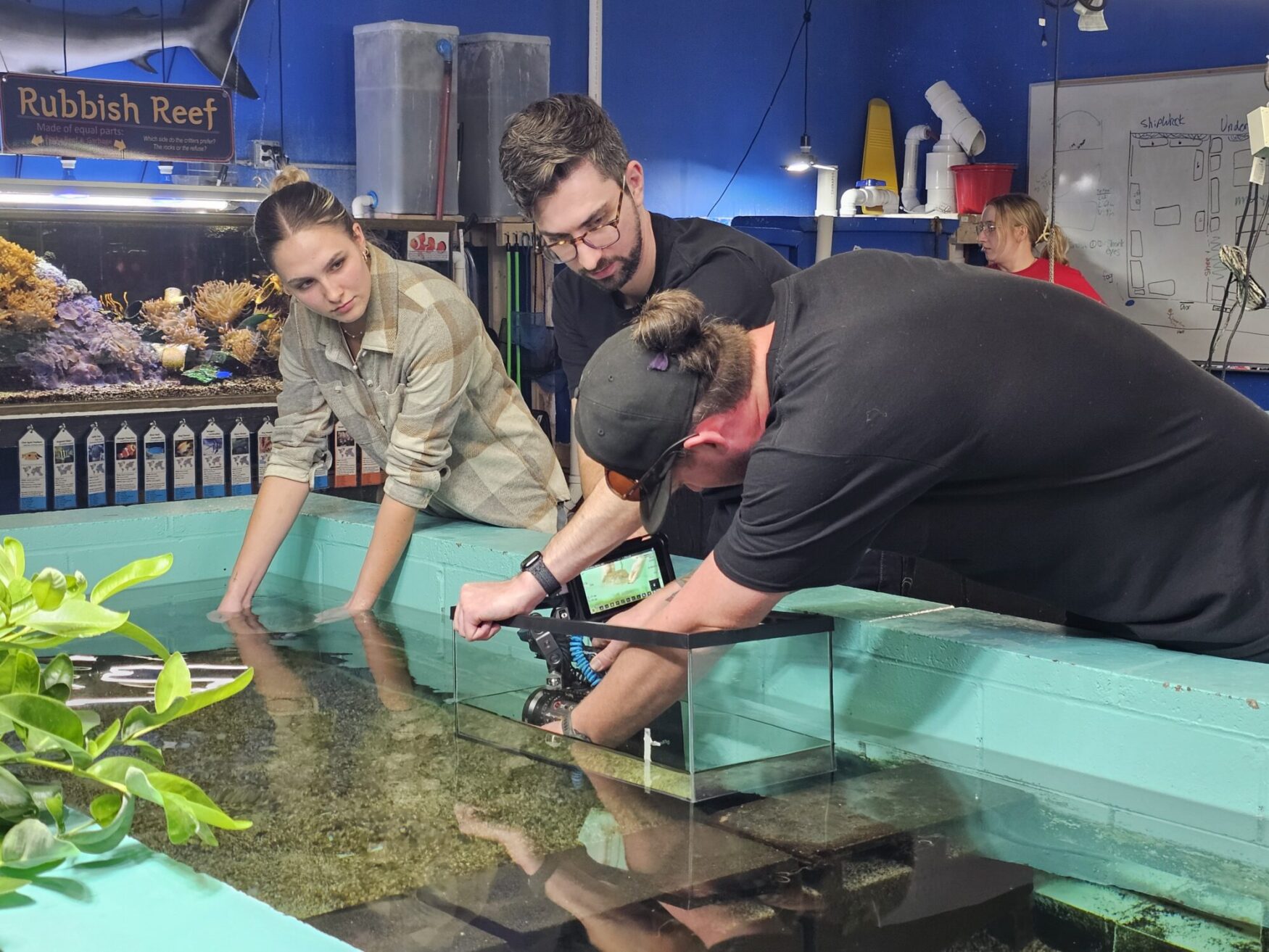 Three people working around a shallow aquarium tank. The woman on the left leans over, placing her hands in the water, observing carefully. The man in the middle watches as the person on the right adjusts equipment submerged in the tank. Behind them, a sign reads 'Rubbish Reef,' and a large fish tank filled with coral and marine life is visible.