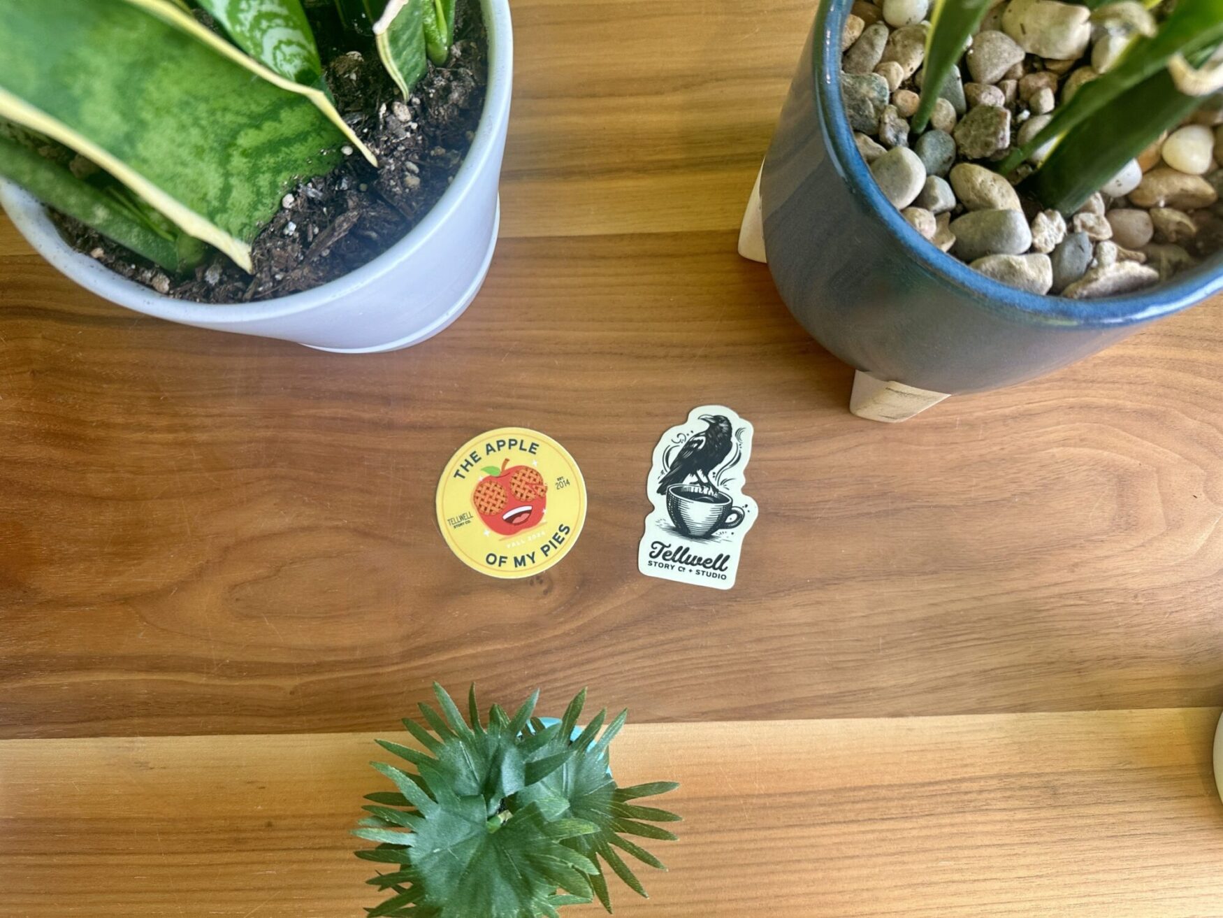 A wooden table with two potted plants and two stickers: one reading 'THE APPLE OF MY PIES' with an apple illustration, and another featuring a black bird on a teacup with the text 'Tellwell Story Co. + Studio.'
