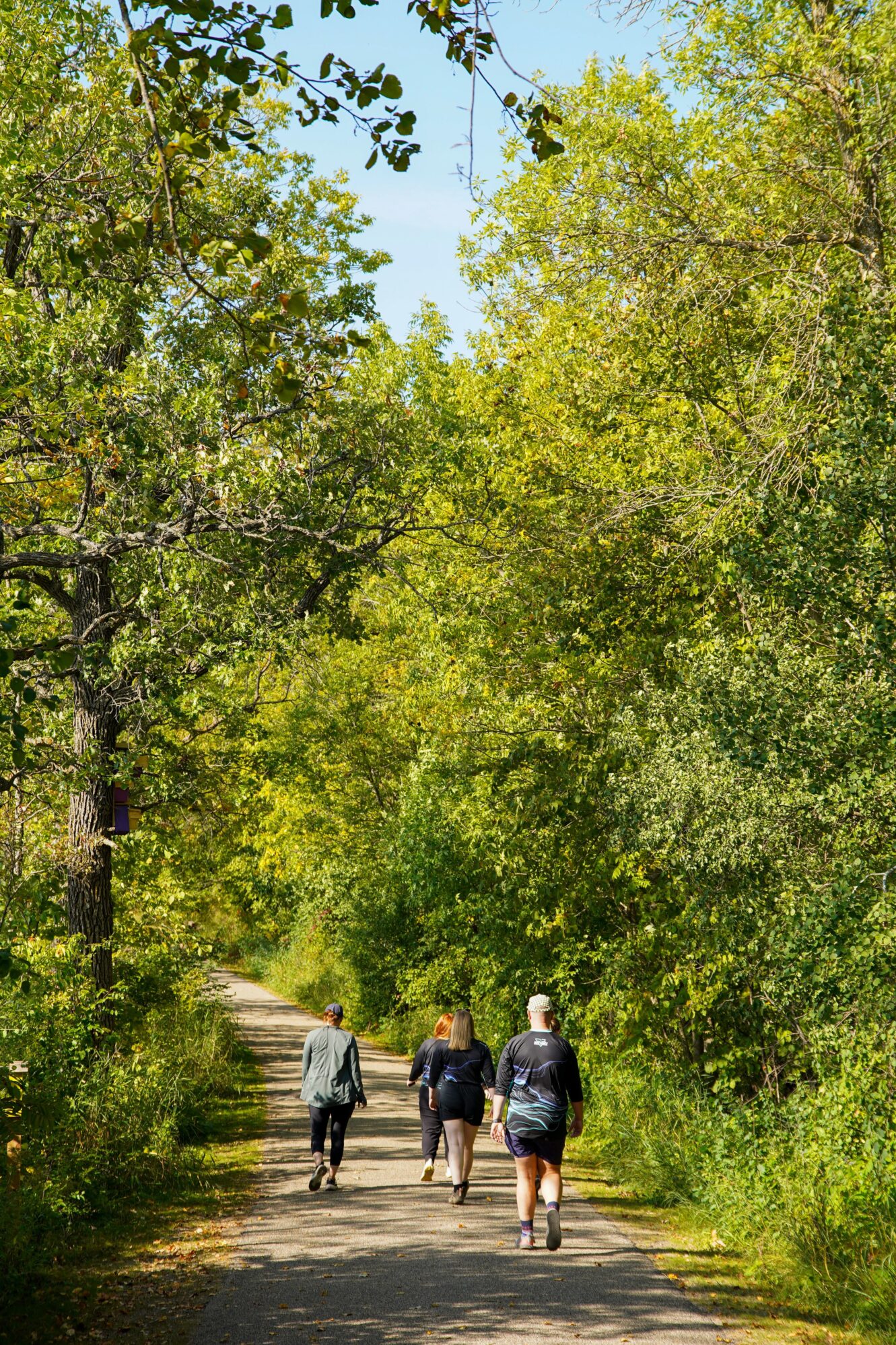 Group of people walking along a tree-lined path in a lush, green forest. The path is surrounded by dense foliage, and the group is heading away from the camera, enjoying a sunny day outdoors.
