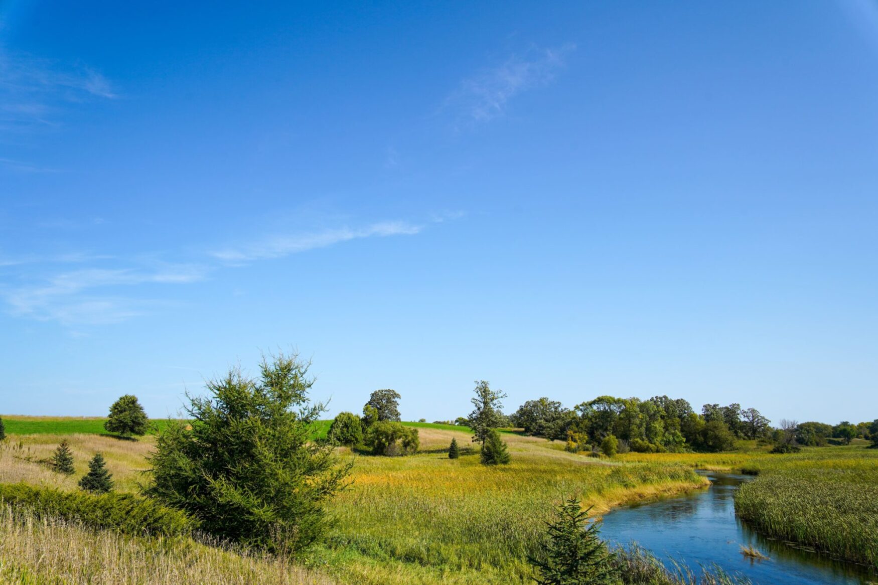 Wide view of a peaceful landscape featuring a gently curving stream, open fields, and scattered trees under a clear blue sky. The scene is filled with green vegetation and hints of yellow, capturing a serene natural setting.