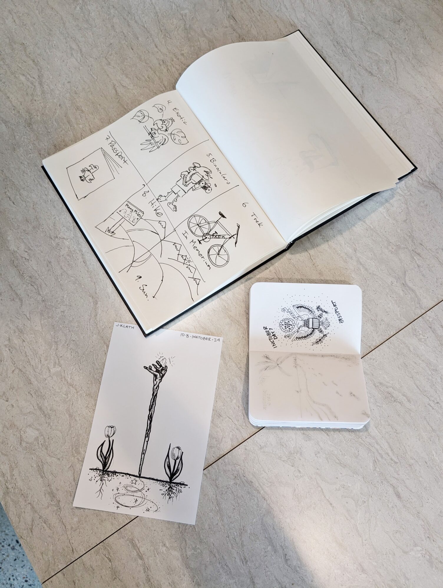 A bird’s-eye-view of three sketch drawings done in ink, two of which are within sketchbooks. The drawings are a range of subjects from a walking staff, flowers, bicycle, birds, passport imagery, and mountain.