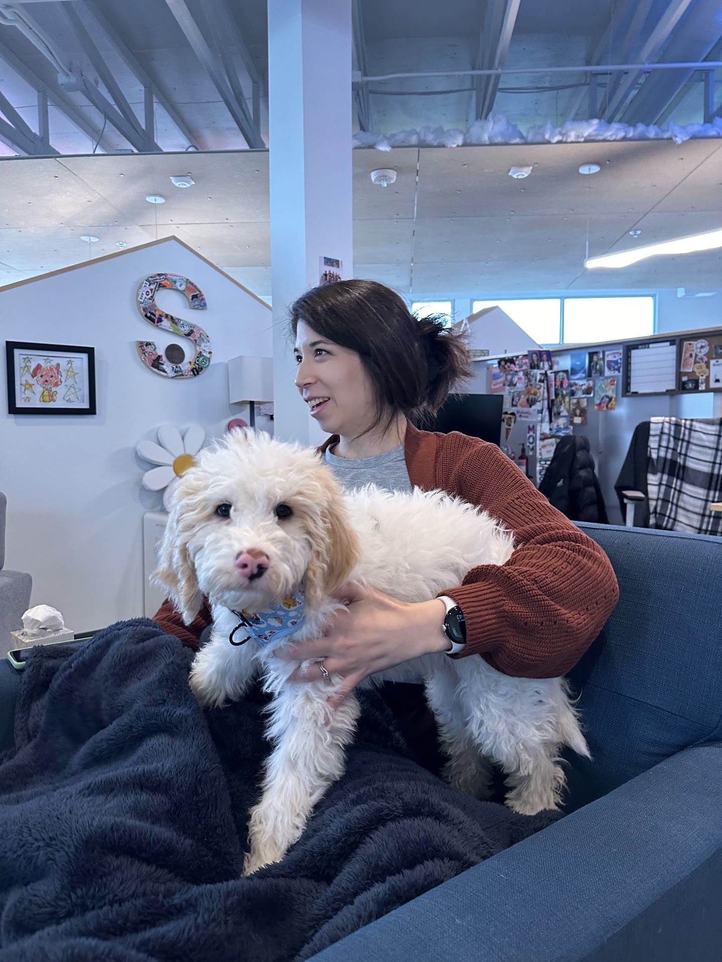 A medium sized dog with white fluffy hair and a pink nose looks at the camera. He is sitting on the lap of a woman in a blue comfy chair. The woman has dark hair and is wearing a rusty red sweater.