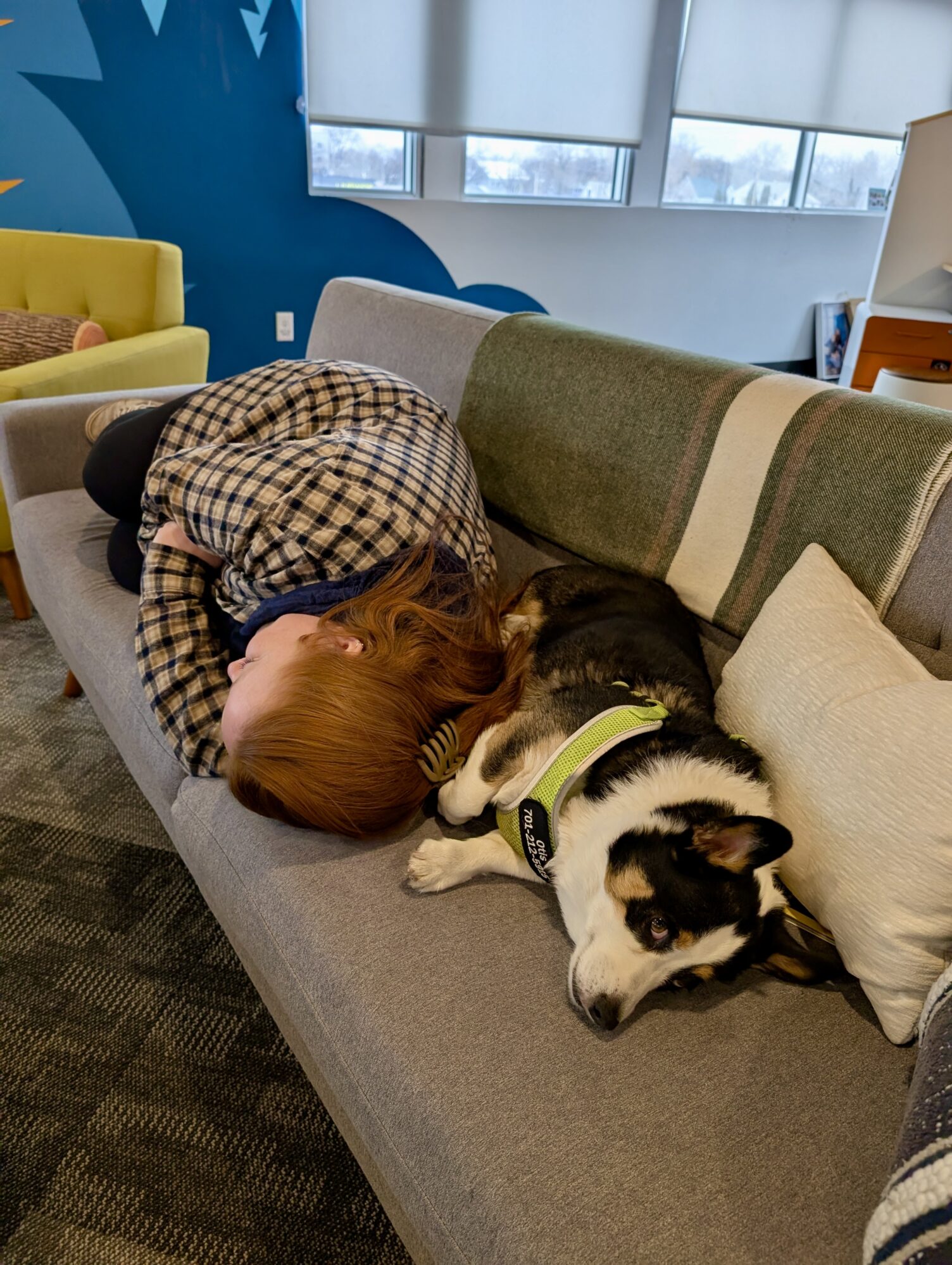 A person with red hair, wearing a plaid shirt, is curled up on a gray couch, resting next to a black, white, and tan corgi wearing a green harness. The corgi lies stretched out, looking toward the camera. The setting is a cozy office or lounge space with a colorful mural on the wall and large windows letting in natural light.