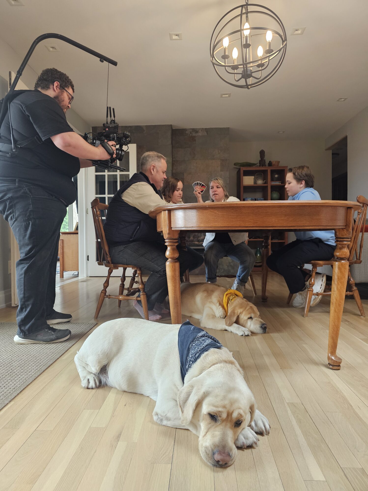 This image shows a cozy indoor scene where a family is gathered around a wooden dining table playing a card game. A woman in the group is holding up her cards, seemingly engaged in the game. Two light-colored Labrador retrievers are lying on the hardwood floor, both wearing bandanas—one in a black bandana and the other in a yellow one—looking relaxed. A camera operator with a stabilizing rig is filming the scene from the left side of the frame. The setting is a well-lit, homey dining area with wooden furniture, warm lighting, and a chandelier hanging overhead.