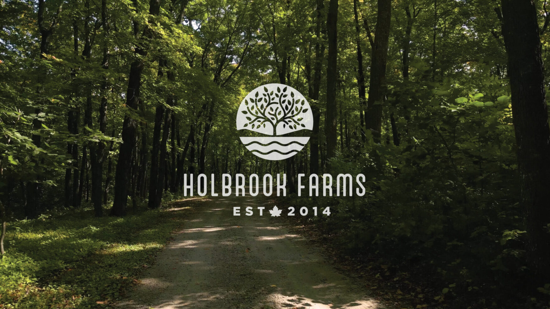 A photo of a walking path through a lush green forest. There is a white logo laid over the photo, reading “Holbrook Farms Est. 2014”.