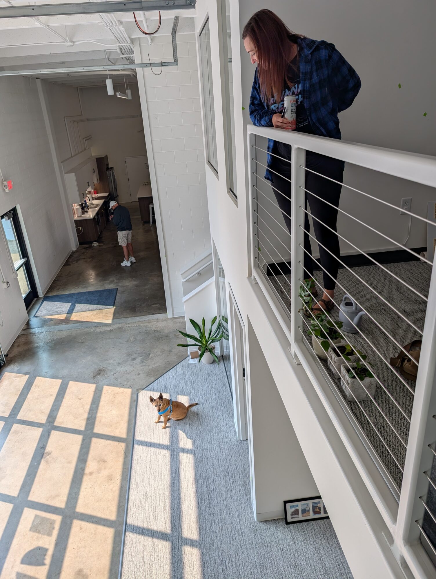 A woman stands in a loft and looks over the railing. On the lower level, there is a small brown dog wearing a blue harness sitting in the sun coming in from the windows.