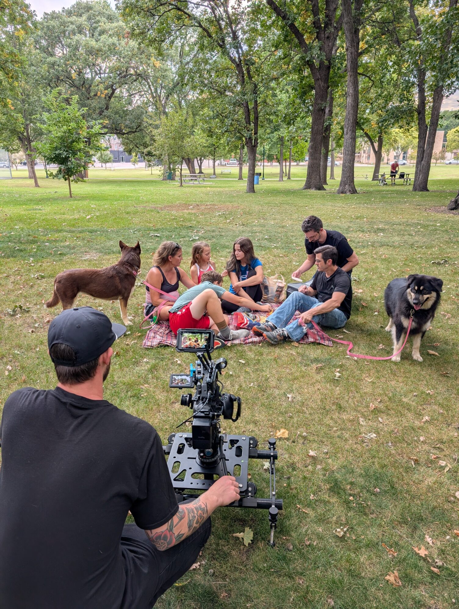 A camera operator films a family sitting on a blanket with kids and dogs during a sunny park picnic scene.
